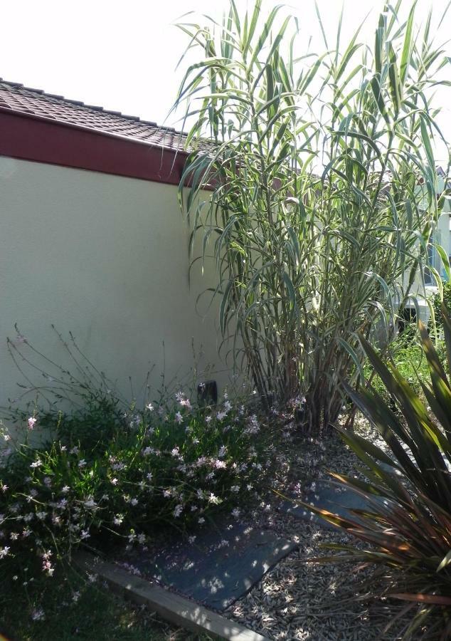 La Cle De Vos Reves Bed & Breakfast Orthevielle Luaran gambar